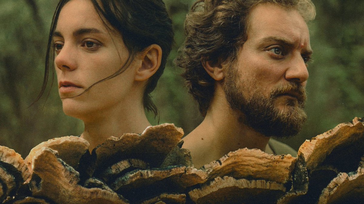 Irene 🍿 tweet media