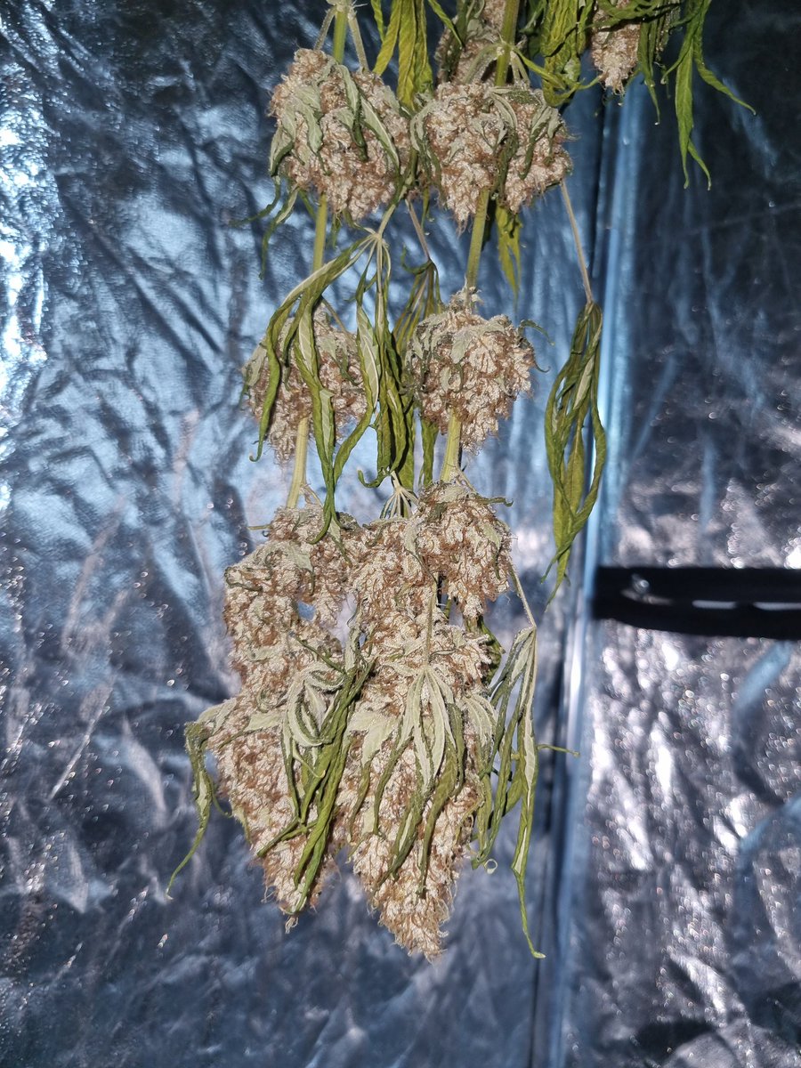 😁👌🏼🙏🏼🌱💚