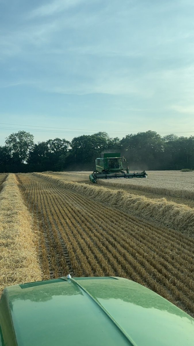 archie83465's tweet photo. And we are off in the barley! https://t.co/kCkAvc2S10