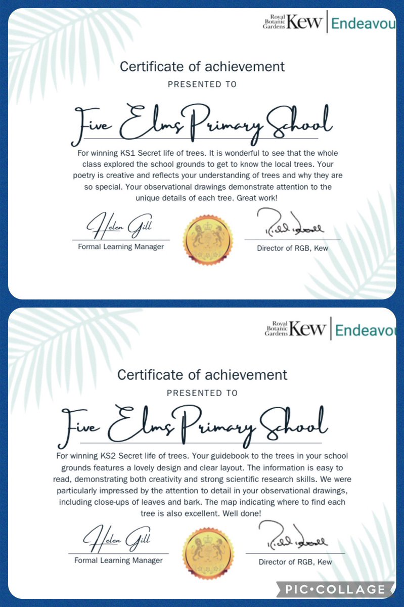 elms_five's tweet photo. We won!! Super proud of Topaz yr3 &amp; Ruby yr1 who won the Kew Endeavour challenge competitions. Pupils explored the life of trees and got to know the schools trees throughout the term. @kewgardens thank you so much for the £2000 prize for science equipment for the school. https://t.co/6LDzoYRkHY