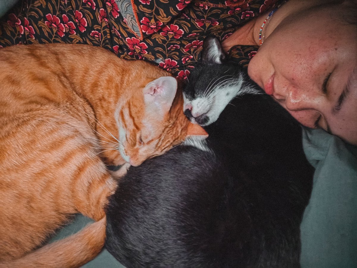BeatriceBoza's tweet photo. This is no longer my bed. fr https://t.co/7f6shuK8w0