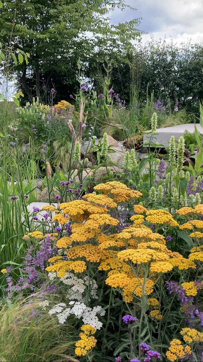 Kate_Bradbury's tweet photo. LOVED being at #rhstatton today! Thanks to all who came to my talks and thanks to @mr_plantgeek for being the perfect host. Some great gardens, but I didnβt see a single bumblebee all day. Usually theyβre all over the show π’ https://t.co/QGXSDLbSAh