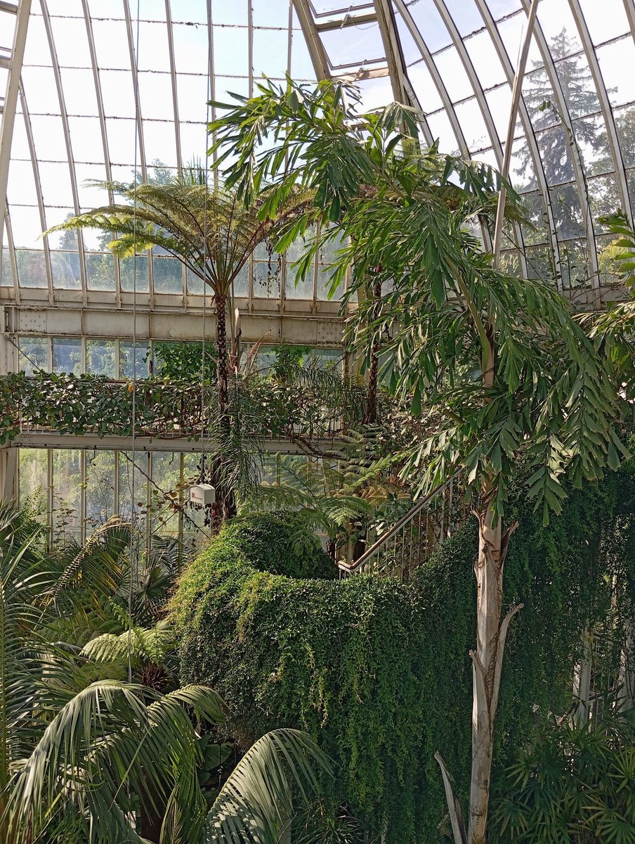 Peter Poczai tweet media