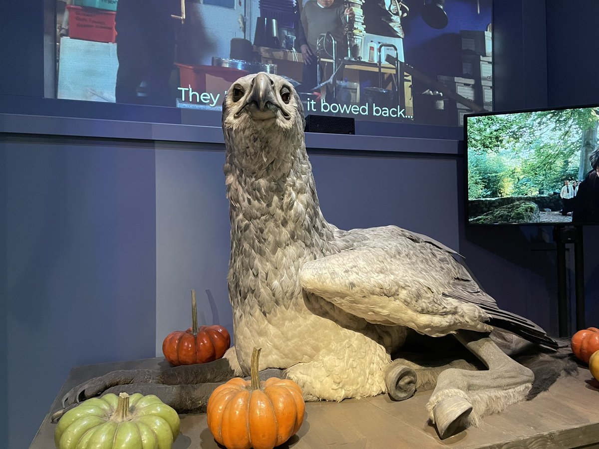 Whitmore High English Department (@englishwhitmore) on Twitter photo We’ve had an absolutely fantastic day - a big diolch to <a href="/wbtourlondon/">Warner Bros. Studio Tour London</a> for having us, and a big shoutout to our pupils for being wonderful throughout! We hope you enjoyed it as much as we did 🎉 We’ve had an absolutely fantastic day - a big diolch to <a href="/wbtourlondon/">Warner Bros. Studio Tour London</a> for having us, and a big shoutout to our pupils for being wonderful throughout! We hope you enjoyed it as much as we did 🎉