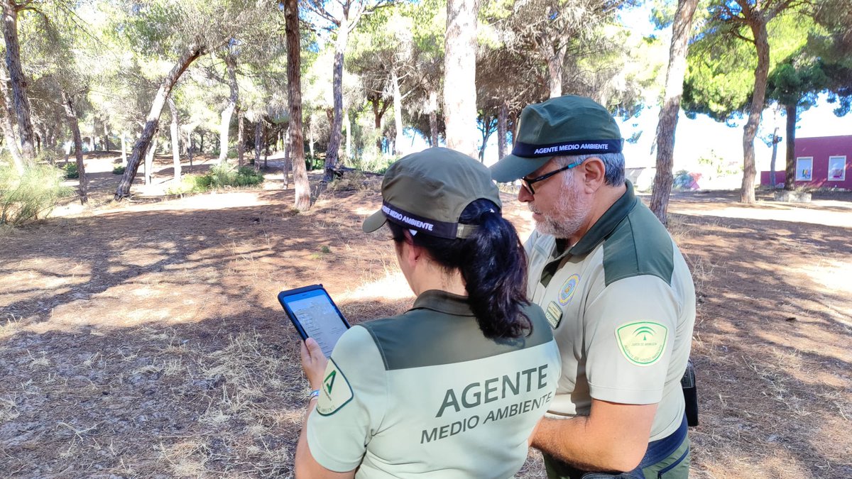 MedioAmbAND's tweet photo. 📲Los @AAMM_And ya están utilizando las tabletas entregadas por @MedioAmbAND para una gestión medioambiental más moderna, eficaz y sostenible.

El proyecto de digitalización de la @AndaluciaJunta con la @AgenciaDigAnd beneficiará a los casi 700 agentes de #Andalucía. https://t.co/0gtLQsO3pX
