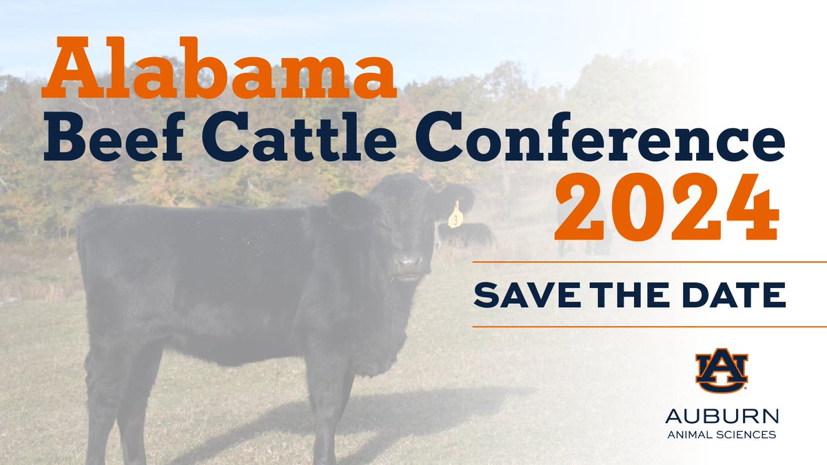 AuburnAg's tweet photo. SAVE THE DATE:  is hosting the Alabama Beef Cattle Conference on October 4-3, 2024.

This event will include a networking event with beef cattle enthusiasts on the 3rd and informational workshops on the 4th.

For more information, visit: https://t.co/z6FzImj6Ok https://t.co/EQYoFdd7Hk