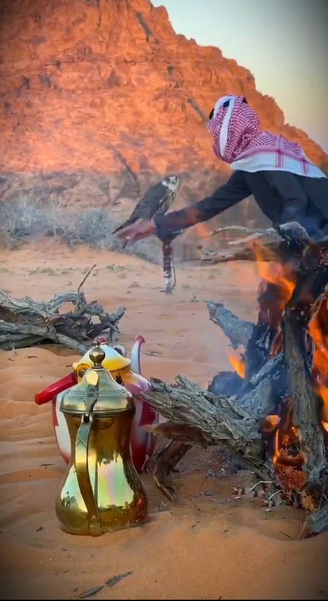 اشهد ان الله عطى وجهك قبول
كل ماشوفه .. اشوف العافيه

جيتك وصدري من اللهفه يطول
ممتلي شوق ومشاعر دافيه

سامح الله عقرب الساعه عجول
نصف ساعه والله ماهي كافيه

انت حتى الشعر في وصفك خجول
وكل كلمه في سموك وافيه

من كثر مارمشك الناعس كسول
كن عينك في هدبها غافيه

نصف ساعه فاهي بوجهك