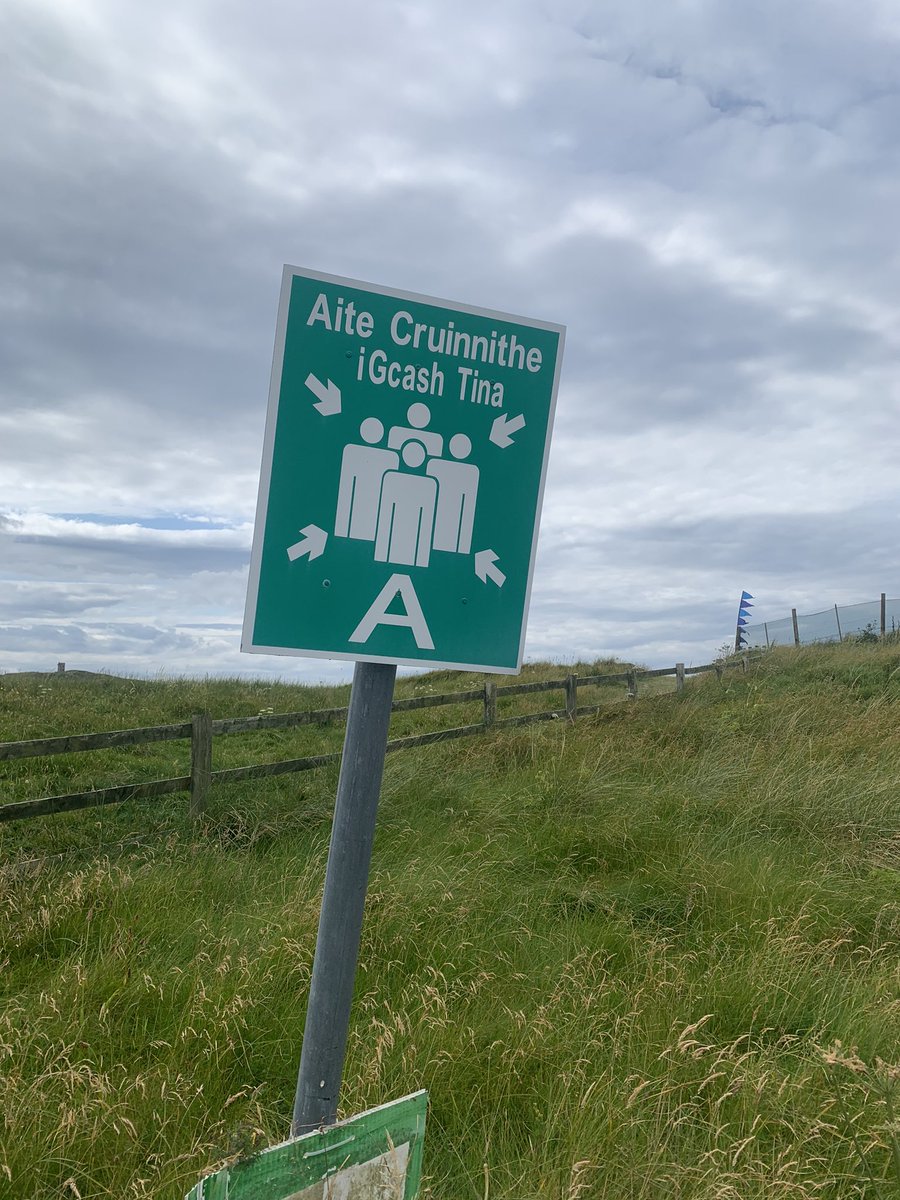 Sorcha Ní Riada tweet media