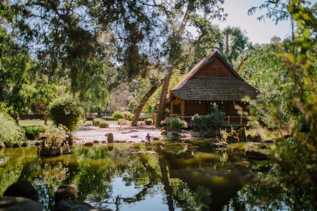 Visit Lodi! tweet media