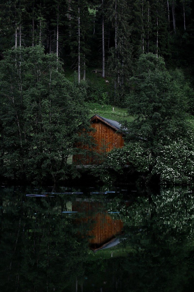 Escape to tranquility! Would you stay in this cozy forest hideaway?🏡
By YakupIpek on Pixabay