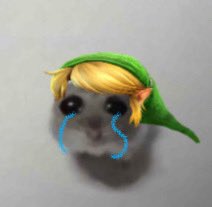 #zeldatwt PLEASEPLEASE PLEASEEE PLEASEEE PLSSPSLSOSLSSPLS PLEASE TAKE ME IN🙏🙏🙏🙏