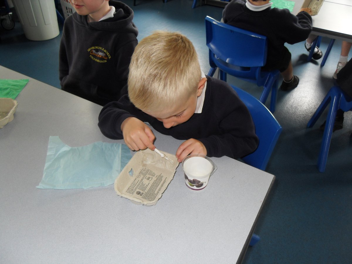 NewburghHalton tweet media