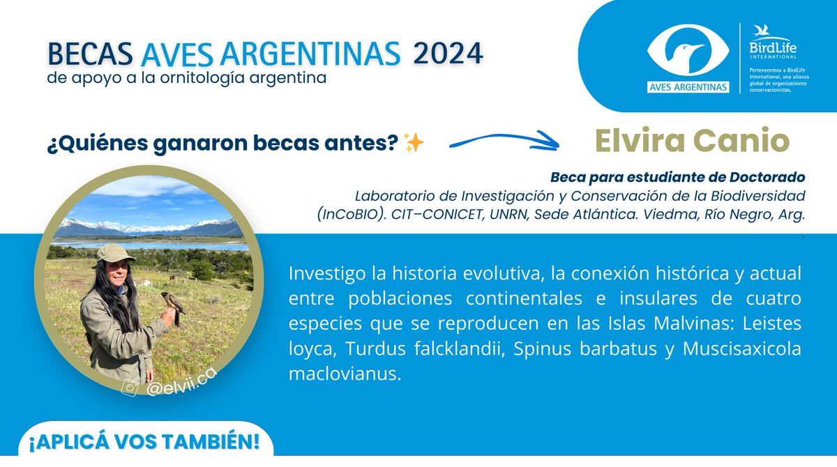 ¡Con ustedes <a href="/elviicanio/">Elvira Canio</a> ! Becaria por Estudiantes de Doctorado 2023 de <a href="/AvesArgentinas/">Aves Argentinas</a>  🦅✨! ¡Seguí sus pasos! ¡Vos también podes aplicar! 💪🔗 avesargentinas.org.ar/becas
Convocatoria 2024 abierta hasta el 30/07
#BecasAvesArgentinas2024
<a href="/unrionegro/">UNRN</a> <a href="/PabloLavinia/">Pablo D. Lavinia</a> 
Seguí el hilo 👇