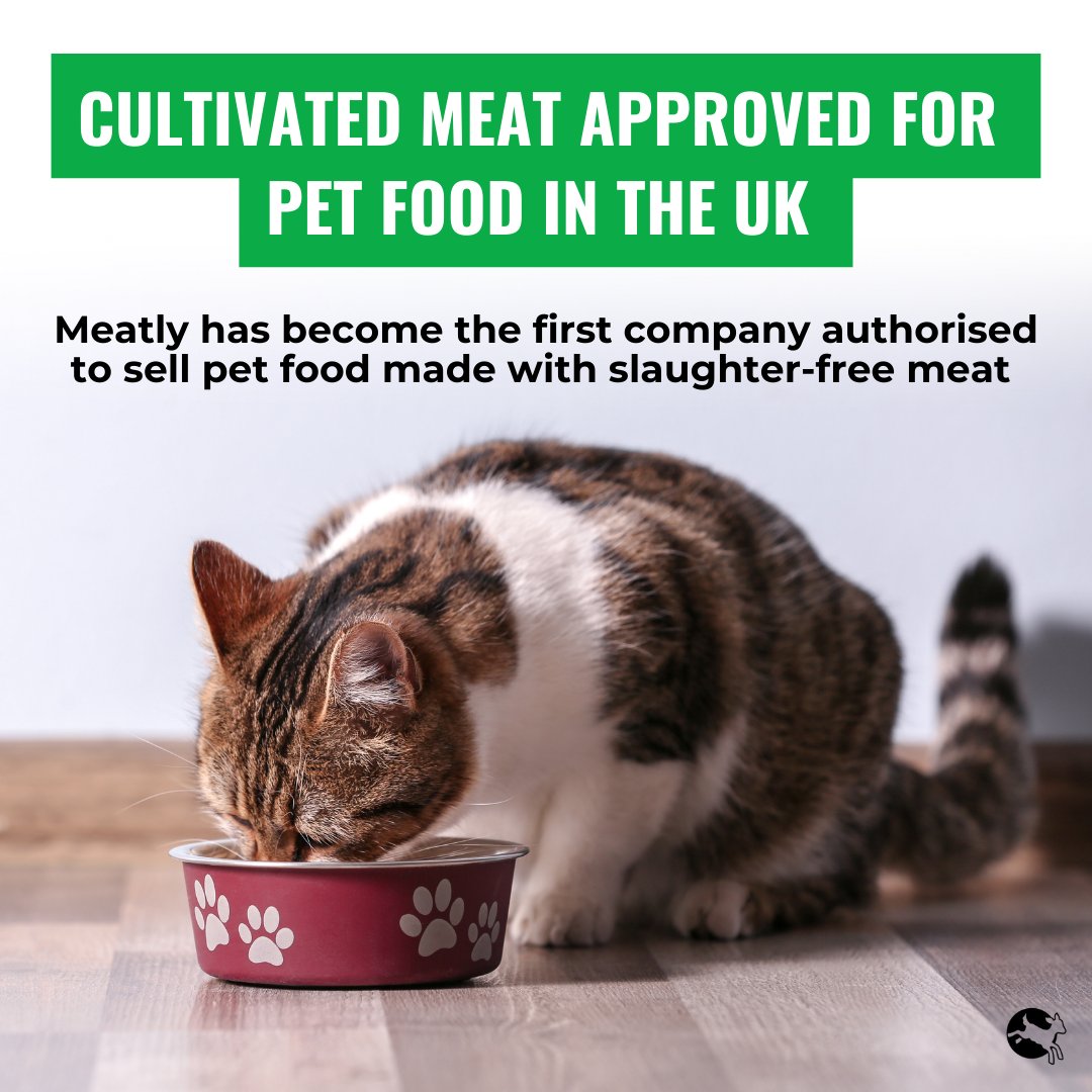 Compassion in World Farming UK tweet media