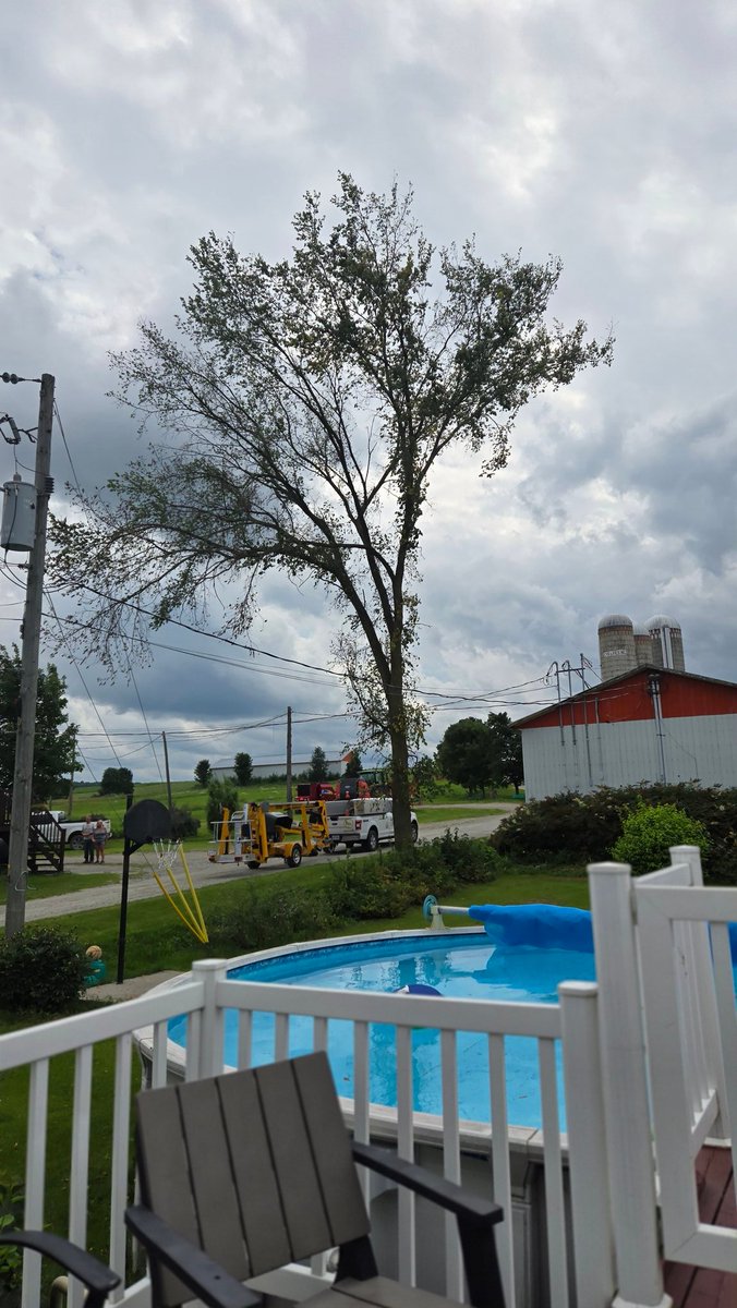 Au revoir bel arbre! La maladie aura eu raison! Tu étais le surveillant de la cours, celui qui voit les vans à lait partir et les camions de moulée arriver! 
😘