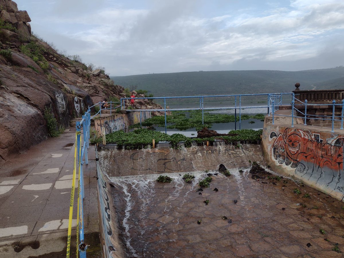 Las políticas de seguridad de #CONAGUA en la operación de presa #SanJosé marcan que al llegar al 70% y ante inminente incremento de nivel, debemos emitir recomendaciones a su operador #INTERAPAS realizar desfogue preventivo y controlado que reduzca riesgos de daños a población.