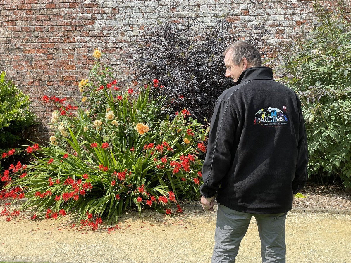 Prof AJ McKnight tweet media