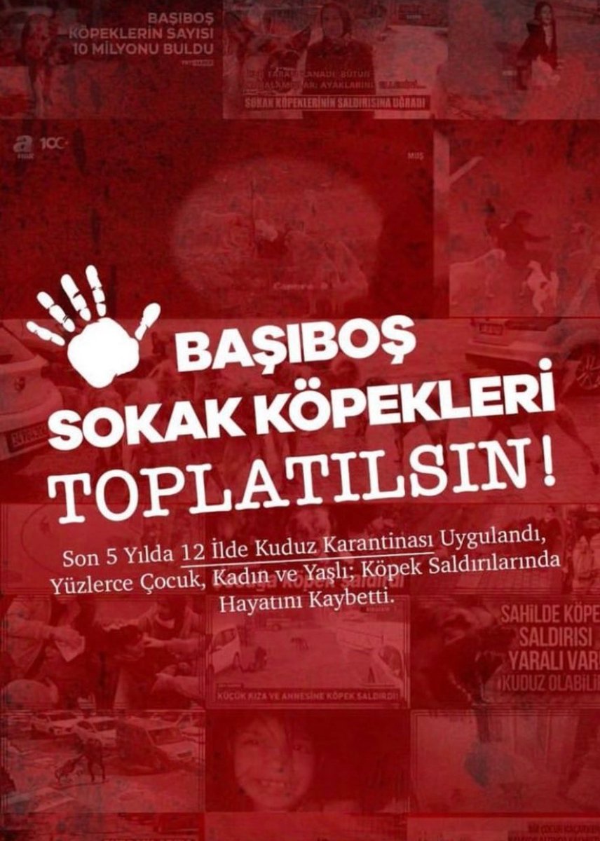 #yasayaevetde 
#yasayaevet 
#MilletYasayaEvetDiyor 
#SokaktaBaşıBoşKöpekOlmaz 
#SokakKöpekleriToplansın