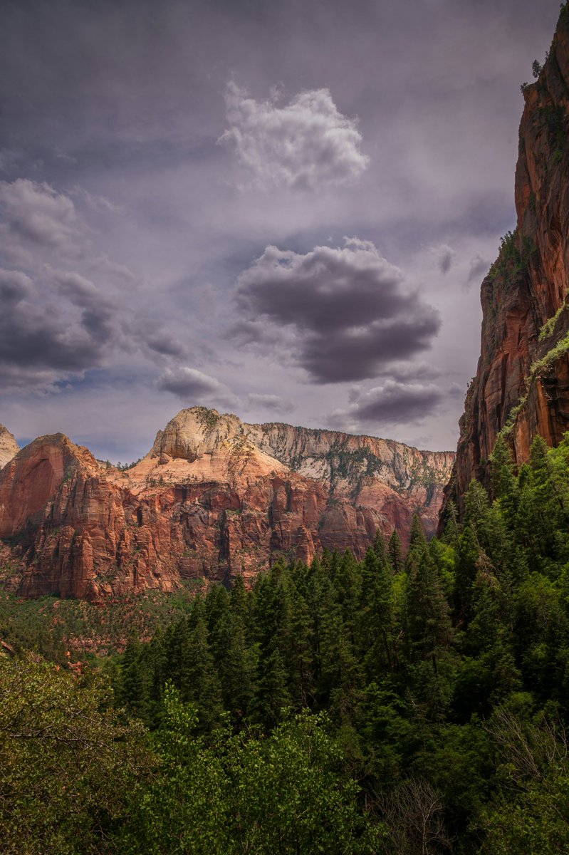 CheapRVdeals's tweet photo. Zion National Park, Utah. Photo by Clayton Chase.
#photooftheday #picoftheday #landscapephotography #landscapephotos #travelphotography #naturephotography #naturepics #rvlife #rvliving #rvlifestyle #rvtravel #vanlife #vanlifers #vanlifer #vanlifestyle #vanliving #vanlifemovement https://t.co/EQdbgufxNe