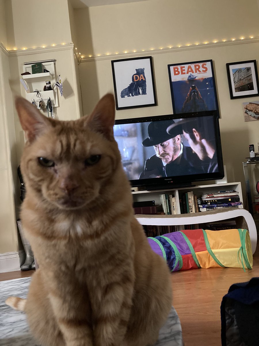 DaBearsBlog tweet media