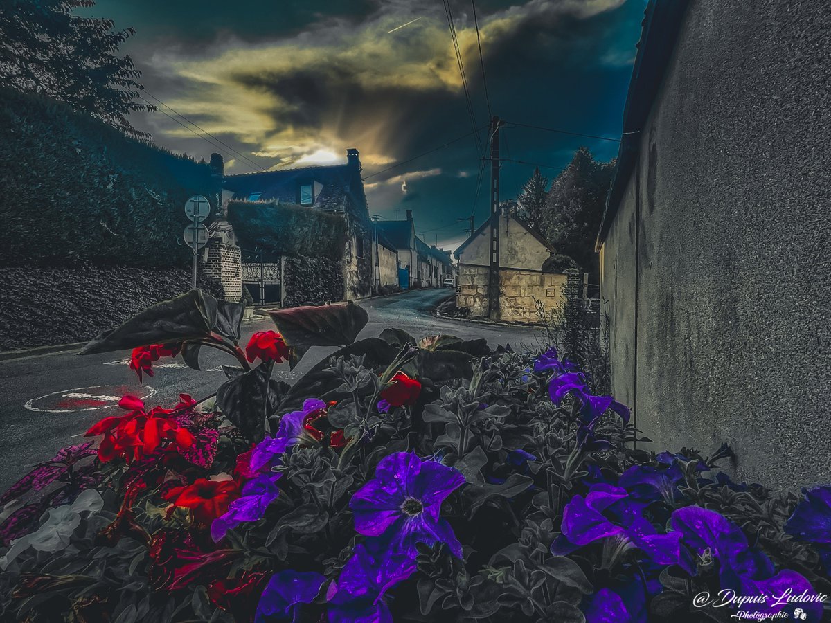 dupuislulu's tweet photo. Il y a toujours des fleurs pour ceux qui veulent les voir https://t.co/MjuYEbsHgm