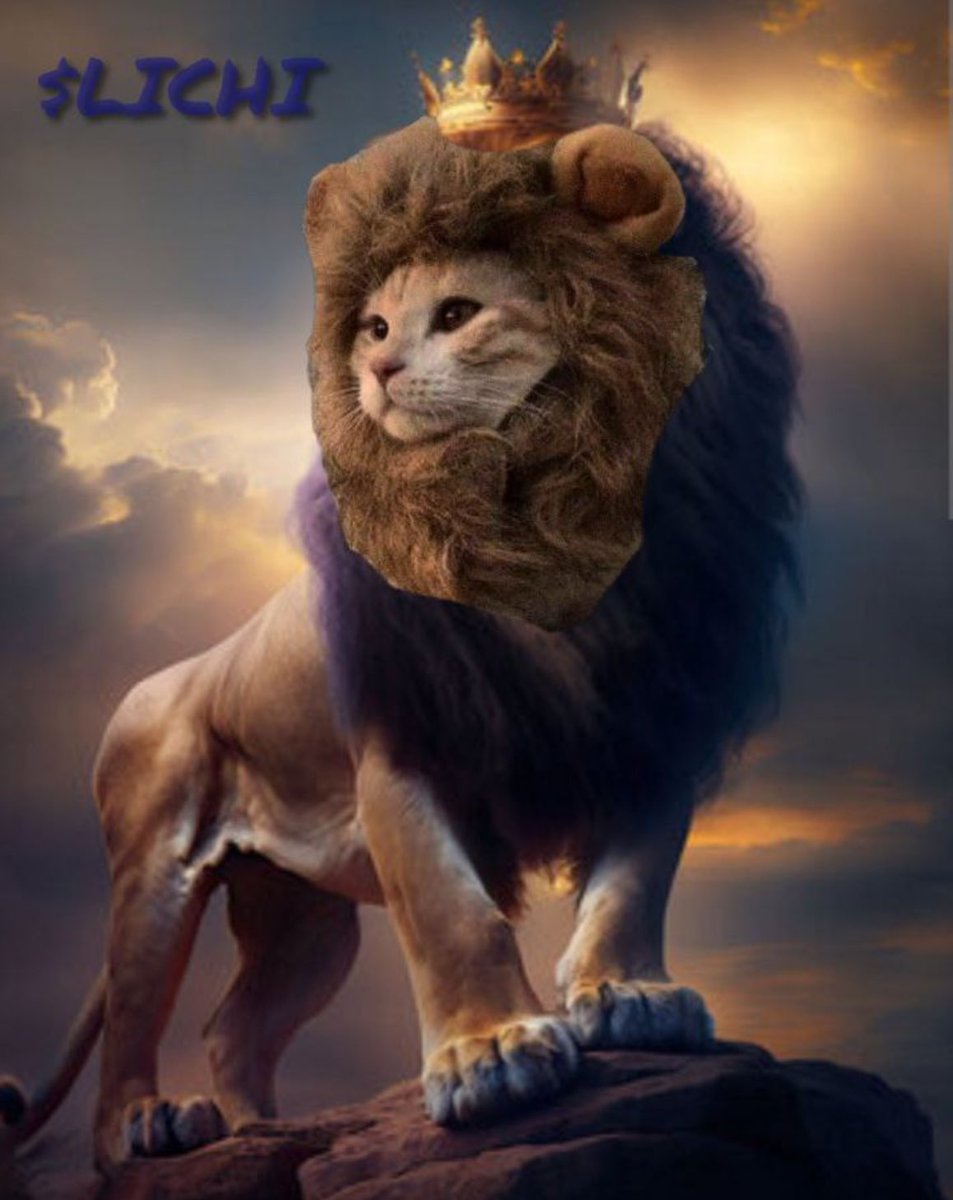 <a href="/MonstersCoins/">The Crypto Monster 🍪🍪</a> Everybody noticed the best memecoin $LICHI 🐱🦁👑
Dont be late ⏰ don’t be sad 🔜🌖
Ca: 5MXVq99D4hQgziRFeDob6MmbtyczhN3yHUqQu49p7PTX