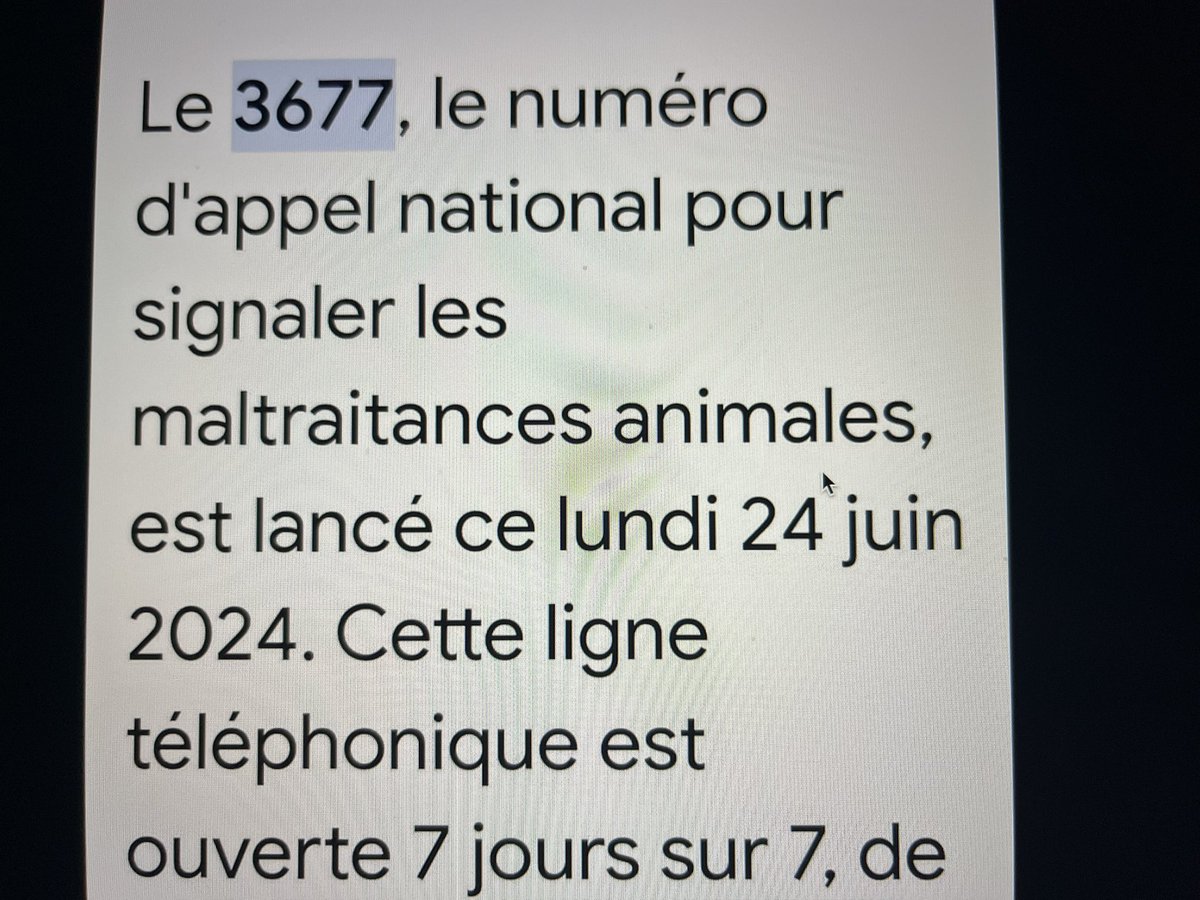 D (@amphiction) on Twitter photo 