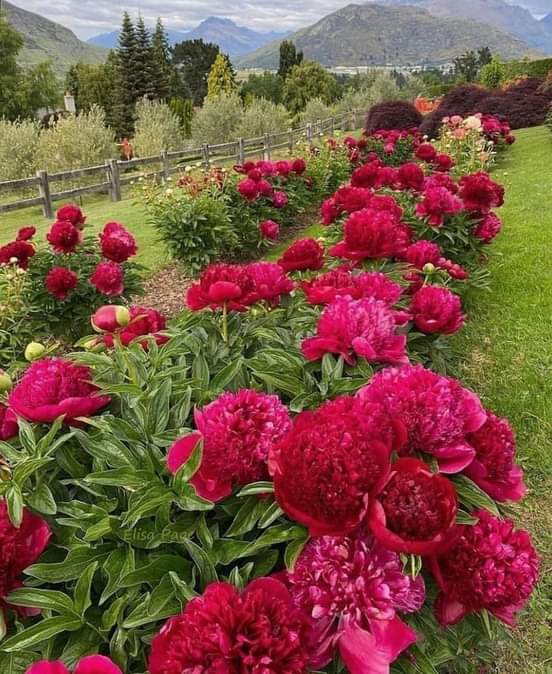 ✪ 𝑮𝑯𝑨𝒁𝑨𝑳✪ tweet media