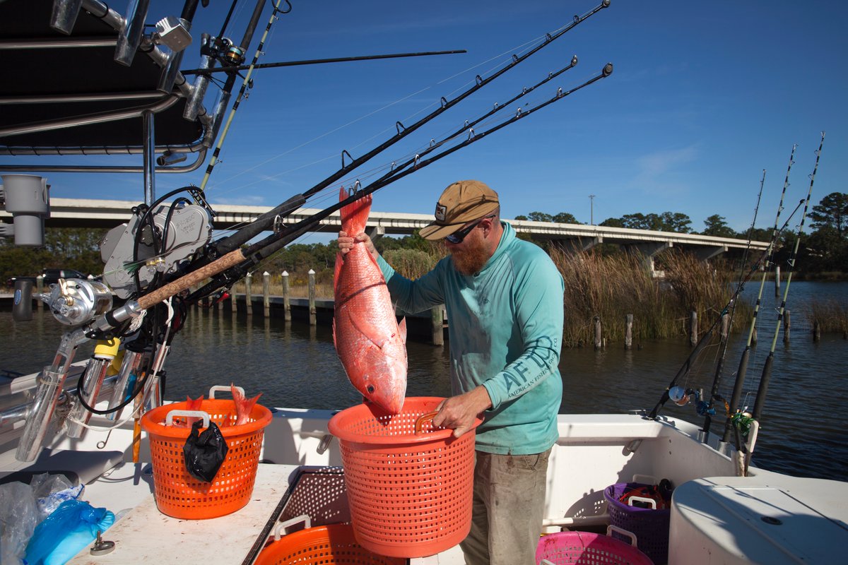 Today on #Gravy, <a href="/zhorovir/">Irina Zhorov</a> looks for fresh fish in shops along the Gulf of Mexico, where it's surprisingly hard to find. 80-90% of seafood in the US is imported, but in Fairhope, AL, Fairhope Fish House wanted something different. 

southernfoodways.org/gravy/reel-it-…