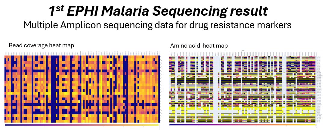 Ashenafi Assefa (@ashenafia) on Twitter photo Exited to share success in generating malaria Amplicon sequencing data (Multiplex) from EPHI labs collaborating with UNC @ Chapel hill and Brown Universities.<a href="/EPHIEthiopia/">Ethiopian Public Health Institute</a> <a href="/IDEELlabs/">IDEEL</a> <a href="/jonbparr/">Jonathan Parr</a> <a href="/EsteeTorok/">Estée Torok</a> <a href="/AfricaCDC/">Africa CDC</a> <a href="/sofoniaskt/">Sofonias K Tessema</a> <a href="/abebe_fola/">Abebe Alemu Fola (PhD)</a> <a href="/MESAmalaria/">MESA - the malaria knowledge hub</a> @ Exited to share success in generating malaria Amplicon sequencing data (Multiplex) from EPHI labs collaborating with UNC @ Chapel hill and Brown Universities.<a href="/EPHIEthiopia/">Ethiopian Public Health Institute</a> <a href="/IDEELlabs/">IDEEL</a> <a href="/jonbparr/">Jonathan Parr</a> <a href="/EsteeTorok/">Estée Torok</a> <a href="/AfricaCDC/">Africa CDC</a> <a href="/sofoniaskt/">Sofonias K Tessema</a> <a href="/abebe_fola/">Abebe Alemu Fola (PhD)</a> <a href="/MESAmalaria/">MESA - the malaria knowledge hub</a> @
