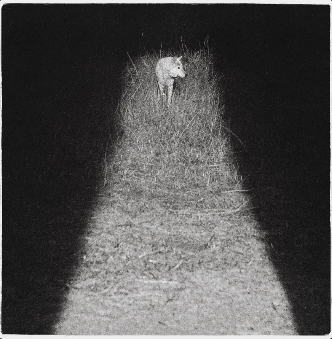 ZACARI JUST DROPPED HIS NEWEST ALBUM “BLISS”

THIS MARKS TDE’S 4TH ALBUM
RELEASE OF THE YEAR (Q, SIR, DEVIN MALIK, ZACARI)

ZACARI IS A FEATURE LEGEND, HE’S FEATUREDON ALL THESE TRACKS BELOW AND MORE
- LOVE WITH KENDRICK, 
- BLACK PANTHER SOUNDTRACK, 
- MOOD WITH SIR, 
- WAT’S