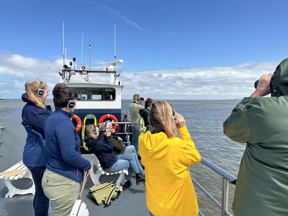 saskiahamminga's tweet photo. Een dag met een gouden randje op de Waddenzee: zeehonden, bruinvissen én…..een bultrug gespot met WaddenWalvisexpeditie Wad Expedities en @waddentweets . Nog aan het nagenieten 😍🐋 #bultrug #waddenwalvisexpeditie #bruinvissen https://t.co/eiEfdWhyRf