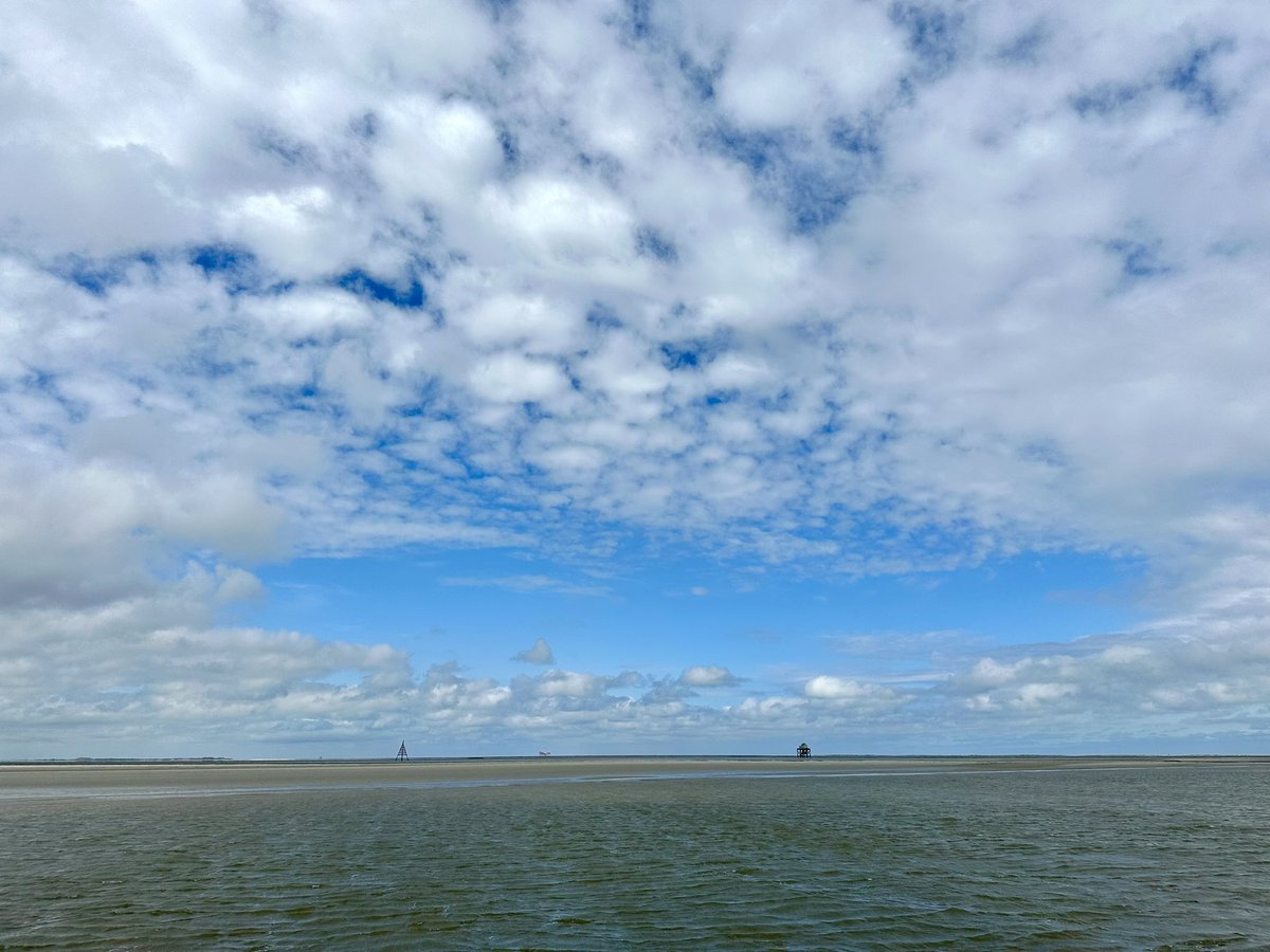 saskiahamminga's tweet photo. Een dag met een gouden randje op de Waddenzee: zeehonden, bruinvissen én…..een bultrug gespot met WaddenWalvisexpeditie Wad Expedities en @waddentweets . Nog aan het nagenieten 😍🐋 #bultrug #waddenwalvisexpeditie #bruinvissen https://t.co/eiEfdWhyRf