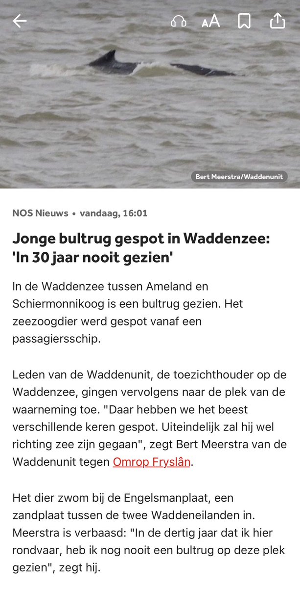 saskiahamminga's tweet photo. Een dag met een gouden randje op de Waddenzee: zeehonden, bruinvissen én…..een bultrug gespot met WaddenWalvisexpeditie Wad Expedities en @waddentweets . Nog aan het nagenieten 😍🐋 #bultrug #waddenwalvisexpeditie #bruinvissen https://t.co/eiEfdWhyRf