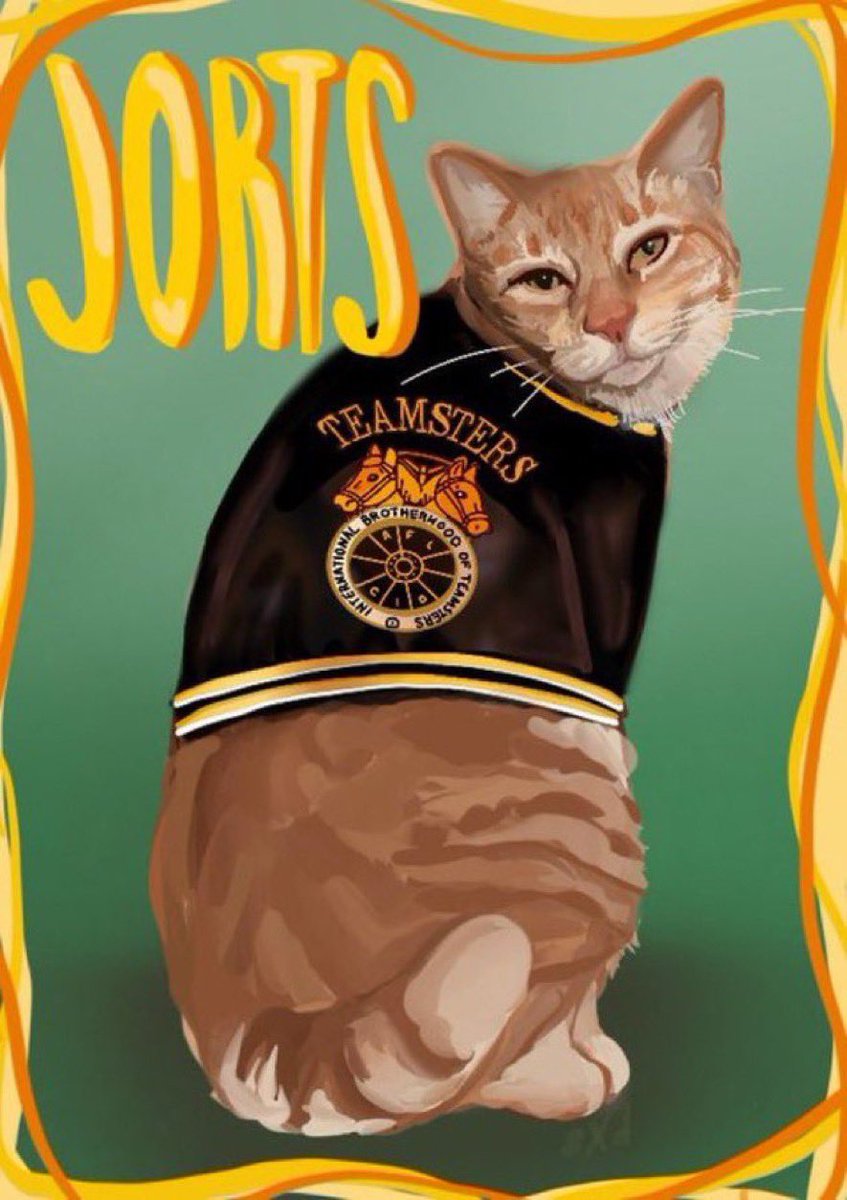 Jorts (and Jean) tweet media