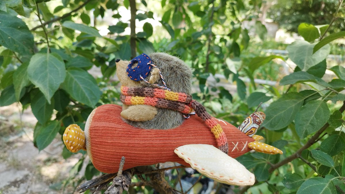 Юлия Рябова tweet media