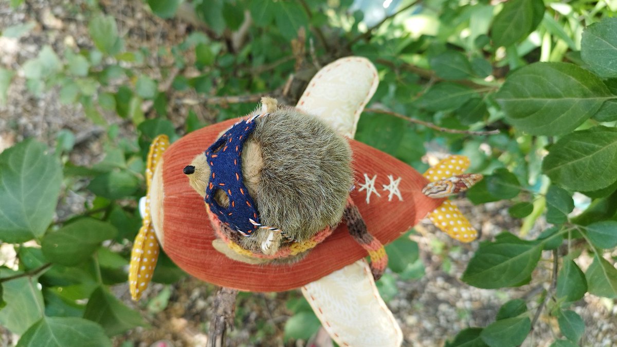 Юлия Рябова tweet media