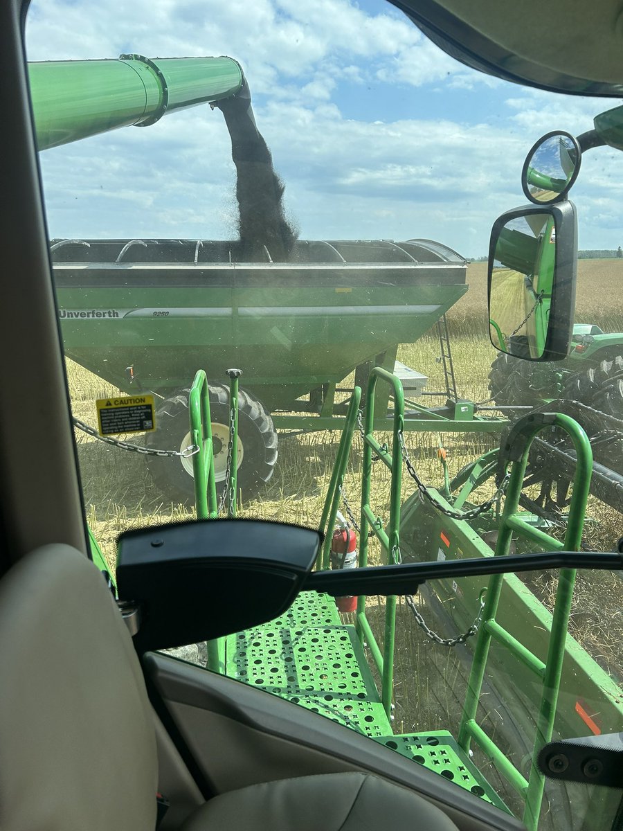 First day of harvest 2024. #Ontag