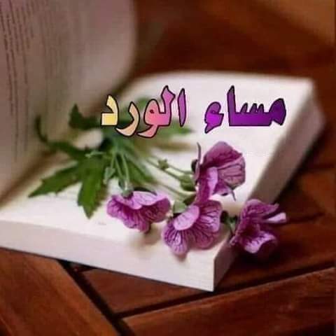 عندما يڪتبُ العقل
 تڪُون الڪَلمة متزنة
وَ عندما يڪتبُ القلب
تڪُون الڪَلمة أصدق
وَ عندما يڪتبُ الضمير
تڪُون الڪَلمة أعمق
 ثُمّ
 هناڪَ من يقرأ بـِ عقله
 وَ هناڪَ من يقرأ بـِ قلبه 
وَ هناڪَ من يقرأ بـِ مشاعره 
لڪن
لن يفهم إلا من ڪان له نفس الإحساس 
لـِ إن الإحساس لغة القلوب