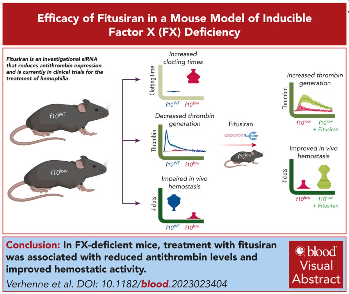 ProfMakris's tweet photo. The antithrombin inhibitor, Fitusiran, improves hemostasis in factor X deficiency. So far studies only in mice. Looking forward to seeing the data in humans with factor X deficiency. Paper is behind a paywall. https://t.co/l9DFNaJjL5 #fitusiran #antithrombin #hemophilia https://t.co/uwUHgHbggQ