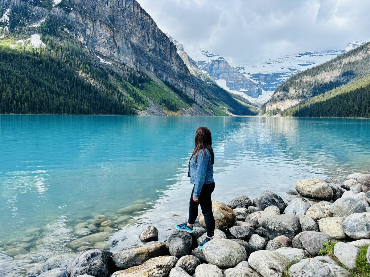 MarieDolphin1's tweet photo. Sometimes you just have to stop and take it all in. https://t.co/bIARS4NJyC
