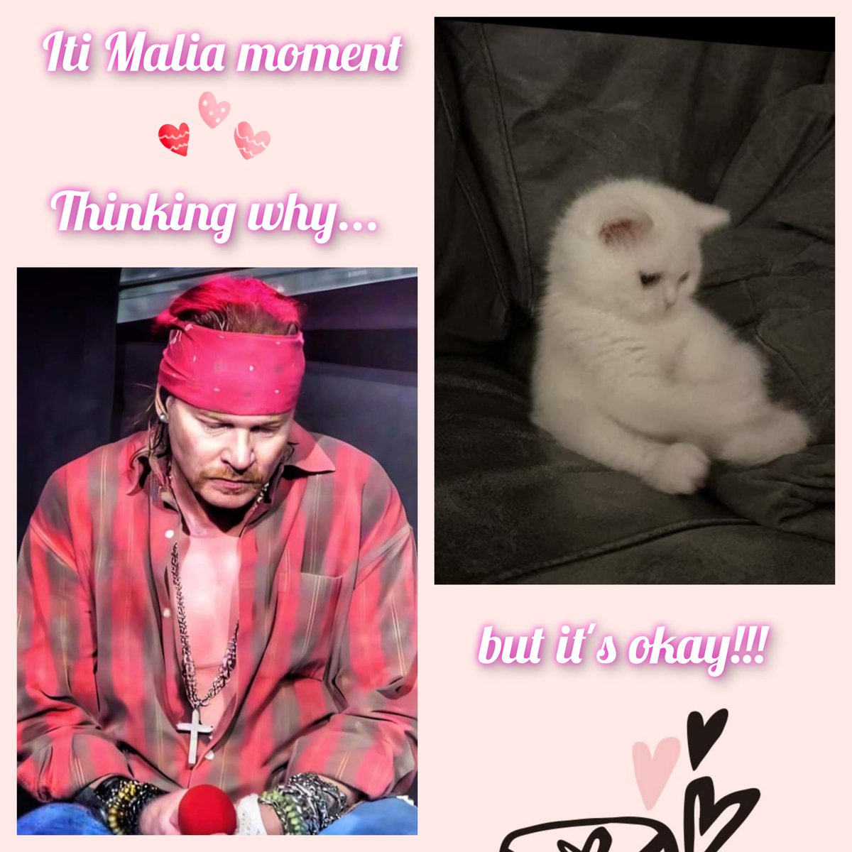 KateBGata's tweet photo. Sometimes shit happen...but it's ok!!!
@axlrose #axlrose #thinkingwhy #CatsLovers #mindful #notsad #askingwhy #itsokay #babyboy #iwillprotectyou #SuccessStory https://t.co/QSvX3FOIPU