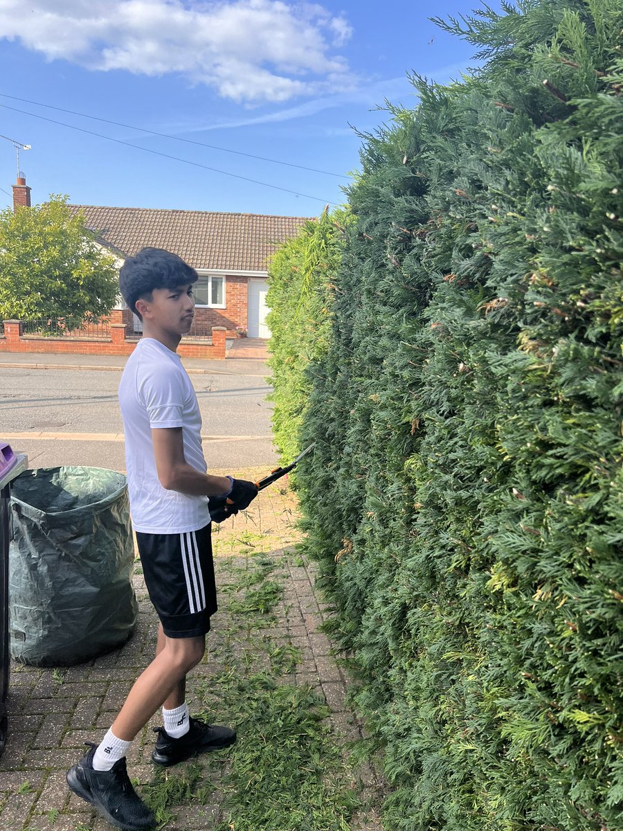marcopolo1419's tweet photo. Daniel said his bored,he want to go to gym,,well I got brilliant idea to keep him busy,,😁😆🤣🏌️‍♂️ https://t.co/dqKXty8a7f