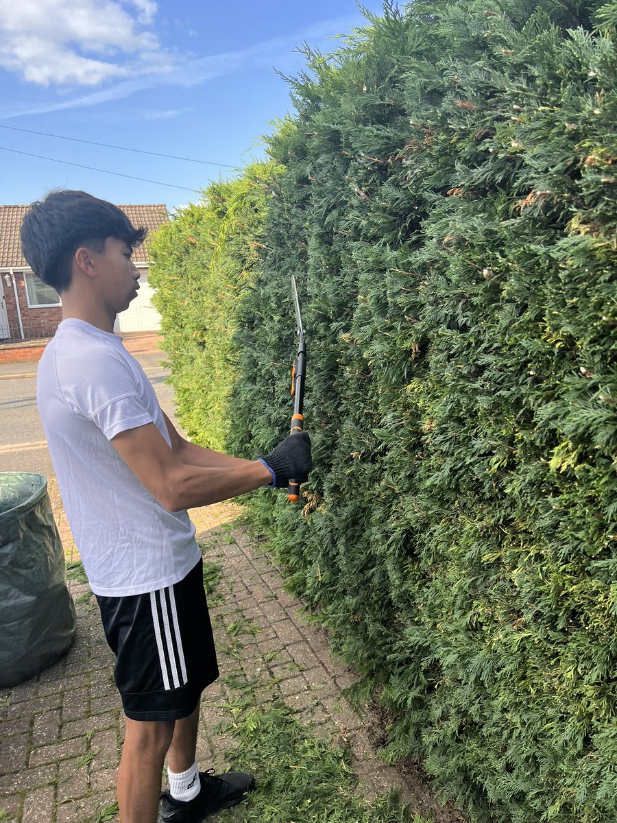 marcopolo1419's tweet photo. Daniel said his bored,he want to go to gym,,well I got brilliant idea to keep him busy,,😁😆🤣🏌️‍♂️ https://t.co/dqKXty8a7f
