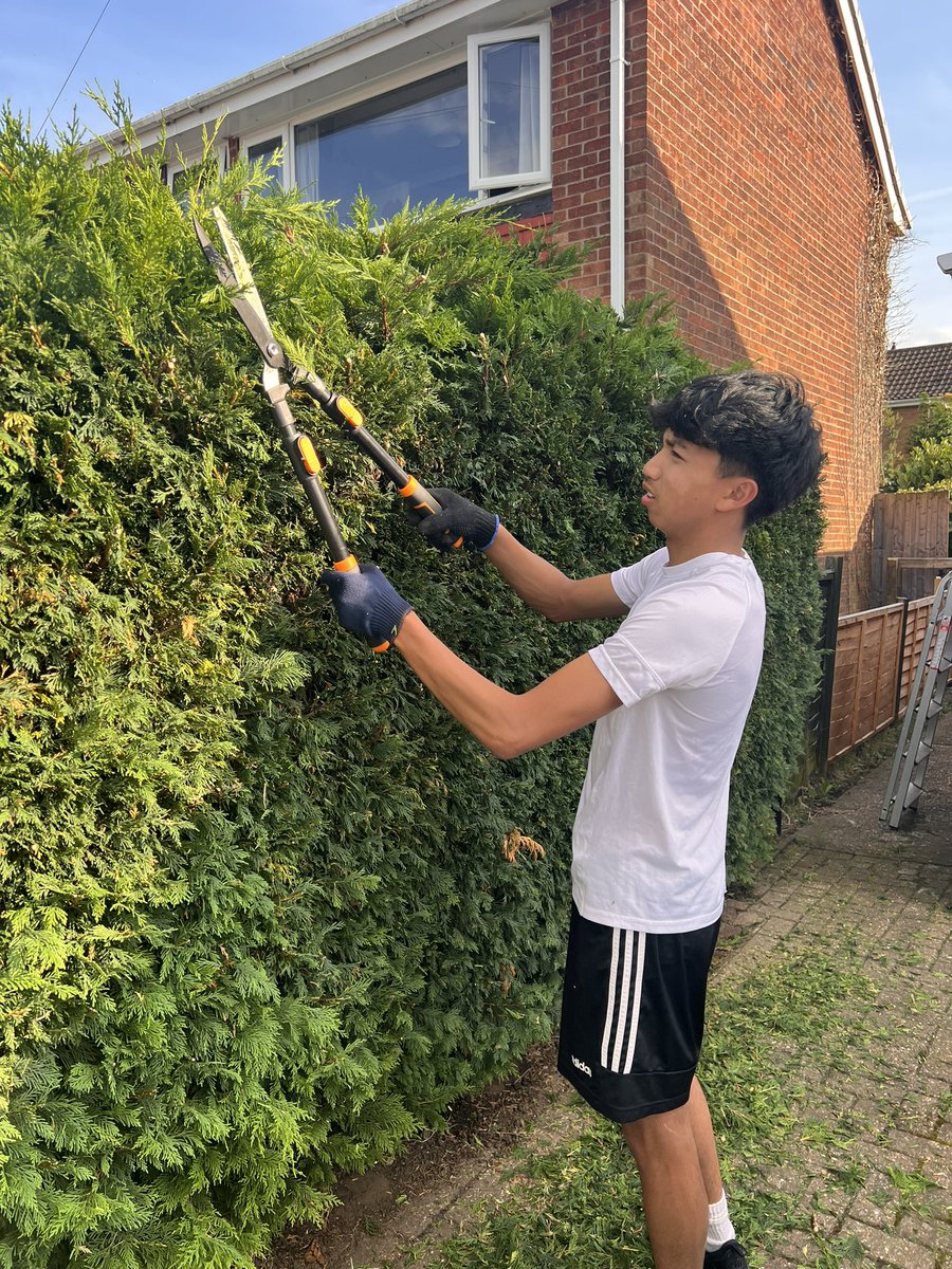 marcopolo1419's tweet photo. Daniel said his bored,he want to go to gym,,well I got brilliant idea to keep him busy,,😁😆🤣🏌️‍♂️ https://t.co/dqKXty8a7f