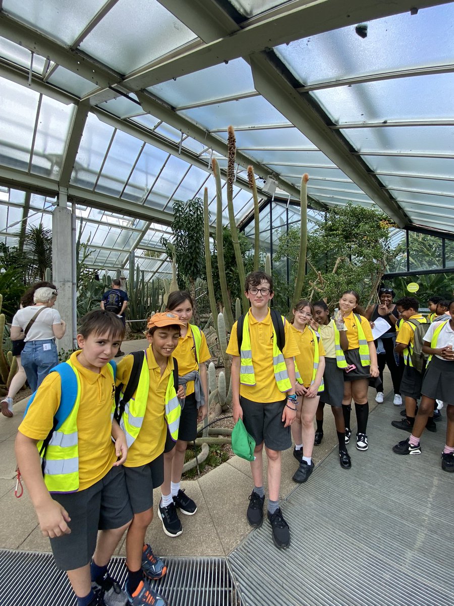 Nicola Curran tweet media