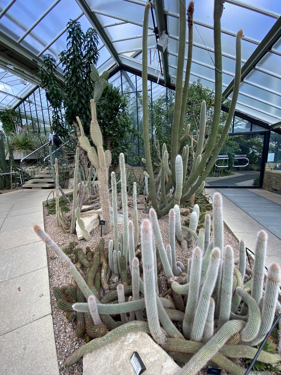 Nicola Curran tweet media