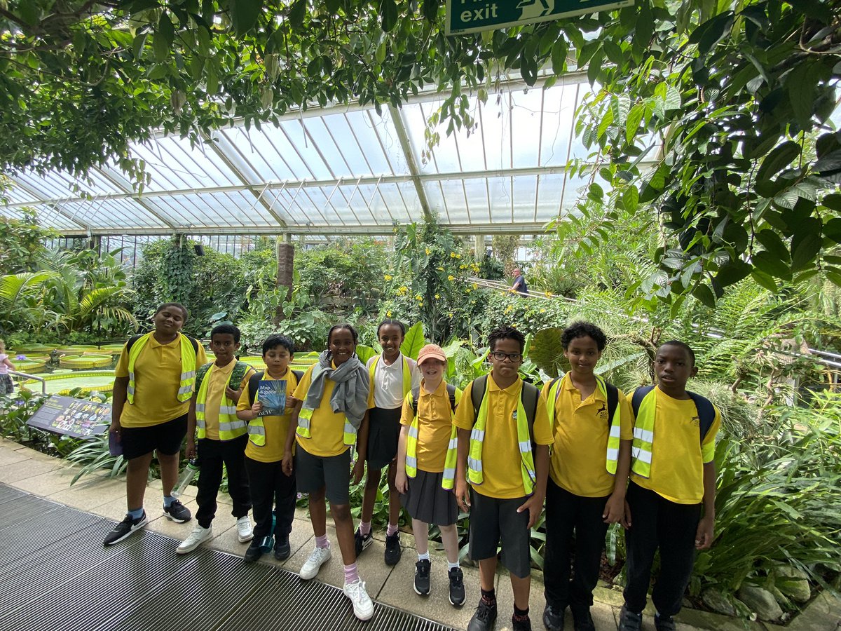 Nicola Curran tweet media