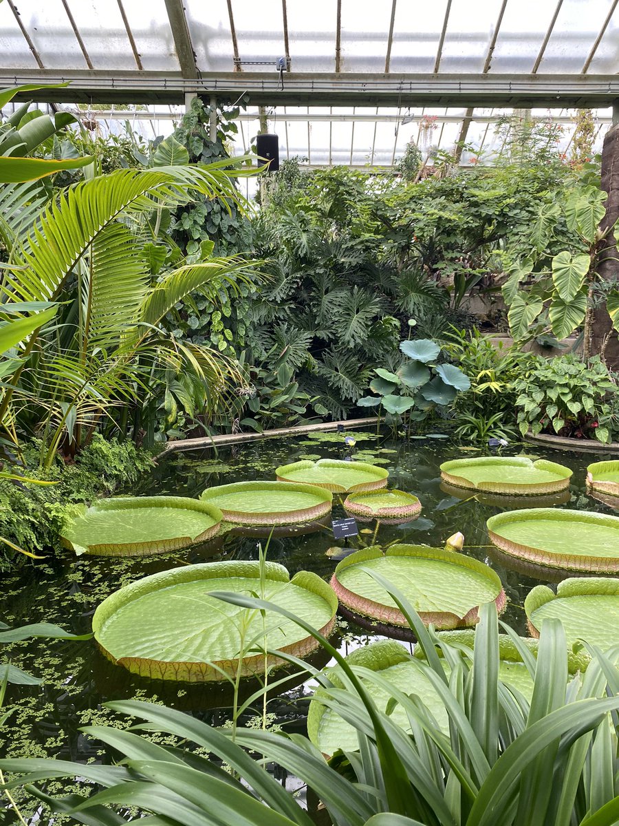 Nicola Curran tweet media