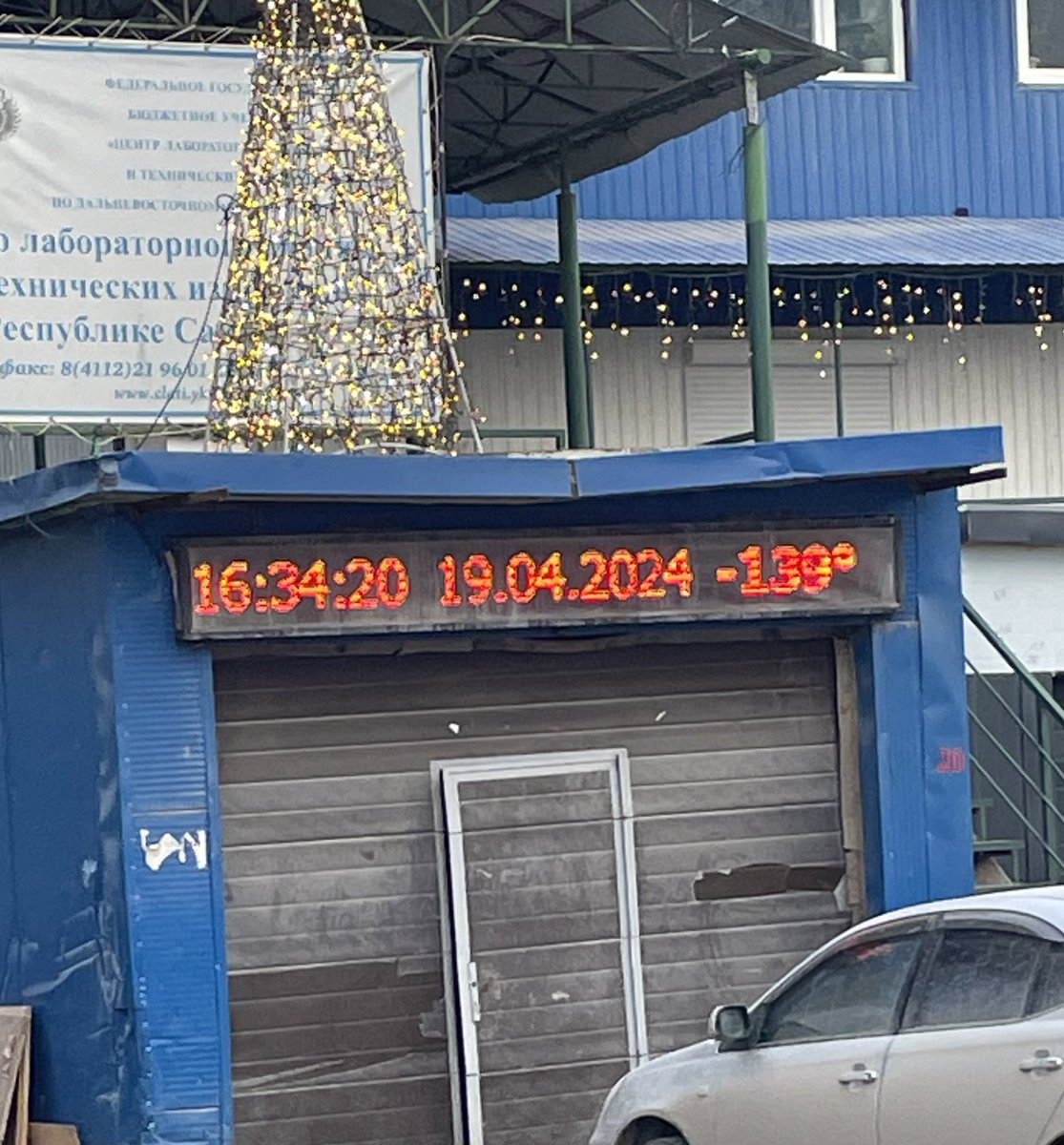 maria___cook's tweet photo. еще елку решили зажечь https://t.co/P70kqQdMca